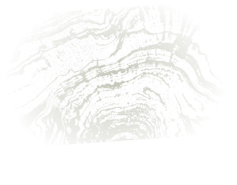 Green woodgrain textured background