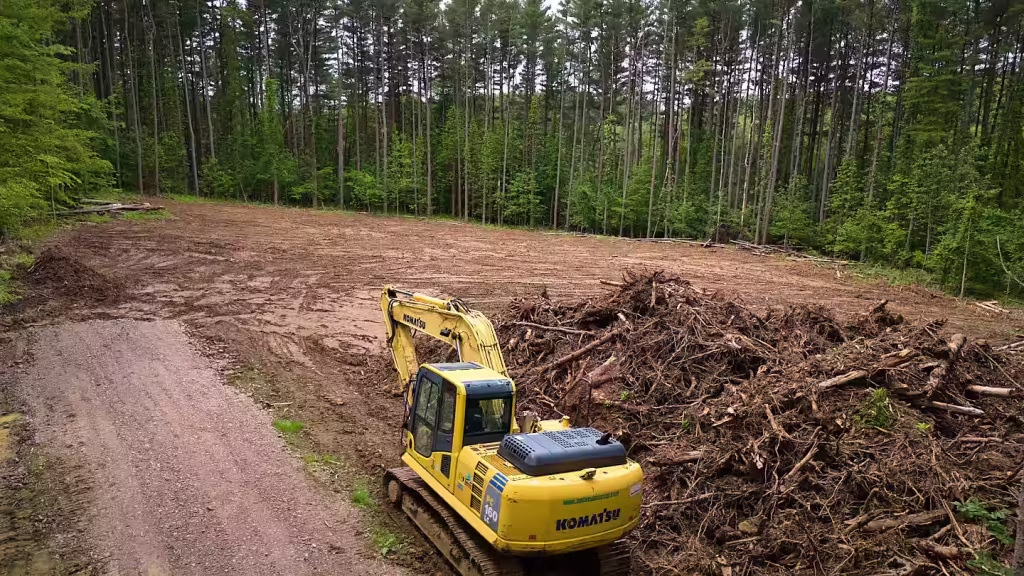 Excavator driving next to a brush pile next o a clearing in a forest of pine trees