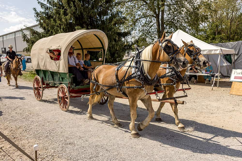 Horse-drawn carriage at Log Cabin Days event with tents and trees in background.