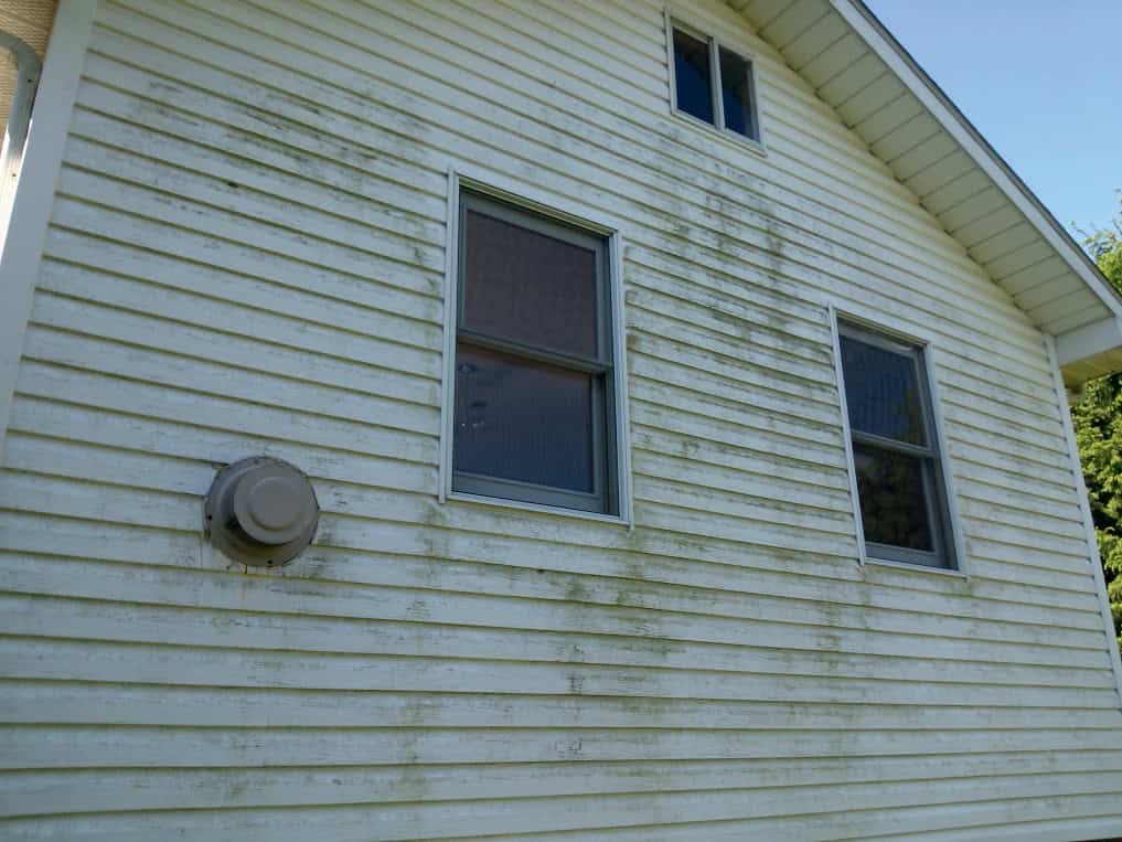 Mold and mildew staining on the vinyl siding of a conventional framed home, a sign of trapped moisture